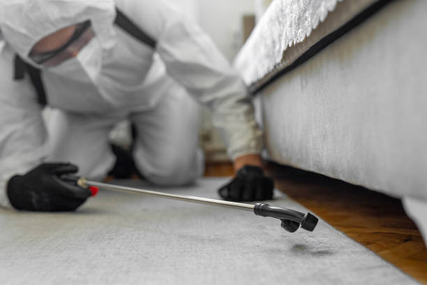 Professional Cockroach Control technician working in Elmore, AL