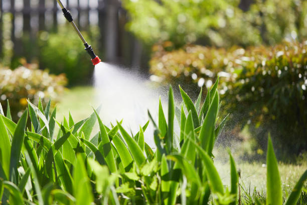 24/7 Emergency Cockroach Control experts in Elmore, AL