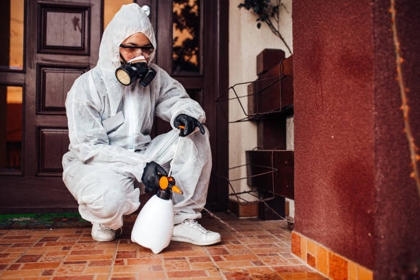 Reliable Cockroach Control contractor in Elmore, AL by Nex Pest Control